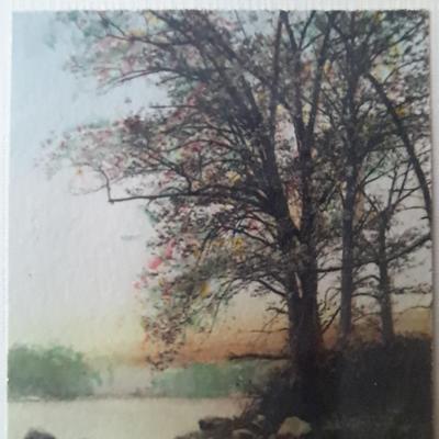 Fred Thompson Hand-Tinted Miniature Photograph & More (PB-SD)