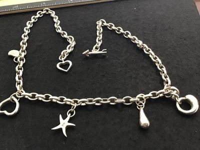 Silver Charm Necklace