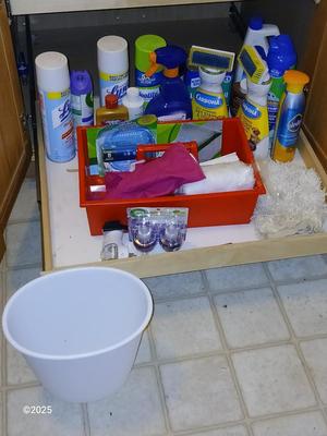 Variety of household cleaners - full to partially full bottles
