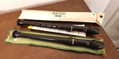 Lot #203 Lot of 2 Recorders (musical) with cases