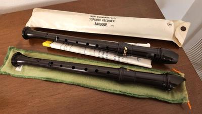 Lot #203 Lot of 2 Recorders (musical) with cases
