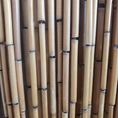 Two Identical Bamboo Curtains (PB-KD)