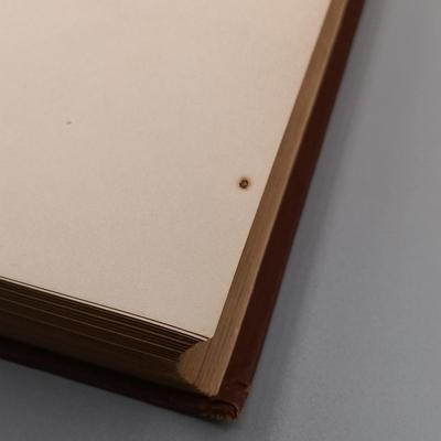 LOT 11: Tales of the Southern Border by C. W. Webber 1887