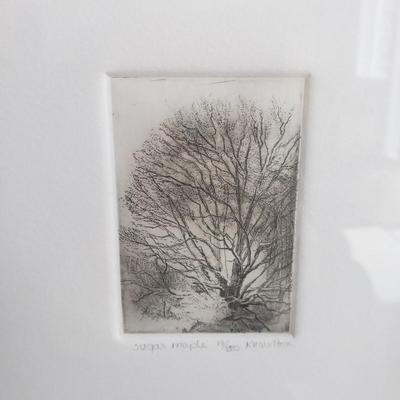 "Bluebird House" by B. Tucker and "Sugar Maple" by Knowlton (PB-KD)