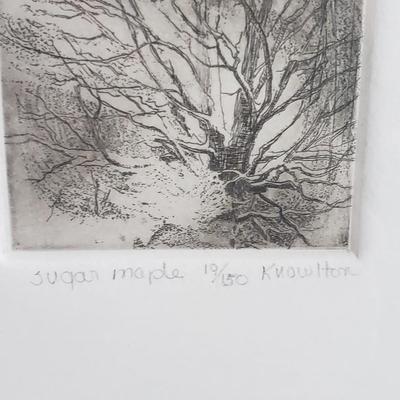 "Bluebird House" by B. Tucker and "Sugar Maple" by Knowlton (PB-KD)