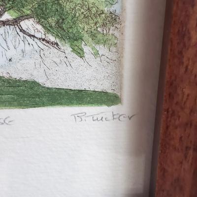 "Bluebird House" by B. Tucker and "Sugar Maple" by Knowlton (PB-KD)