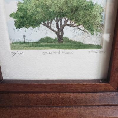 "Bluebird House" by B. Tucker and "Sugar Maple" by Knowlton (PB-KD)
