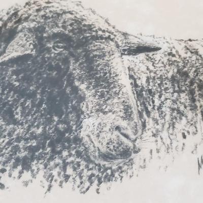 Signed Artwork by MJ Bily and Button (PB-KD)