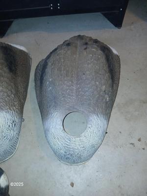 Two HUGE Carry Lite goose decoys 1 of 4