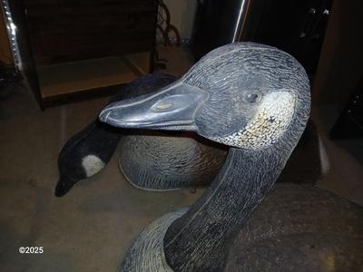 Two HUGE Carry Lite goose decoys 2 of 4