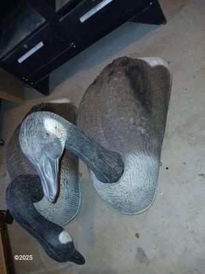 Two HUGE Carry Lite goose decoys 2 of 4