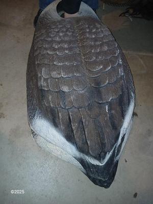 Two HUGE Carry Lite goose decoys and an extra body with no head