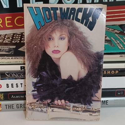 LOT 157B: Vinyl Junkie Sign w/ Books on Record Collecting