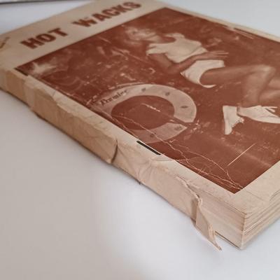 LOT 157B: Vinyl Junkie Sign w/ Books on Record Collecting