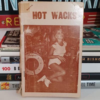 LOT 157B: Vinyl Junkie Sign w/ Books on Record Collecting