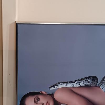 LOT 167B: Vintage Natassja Kinski and the Serpent Framed Poster