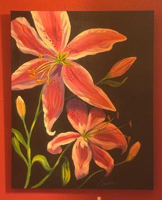 Star Gazer Lilly