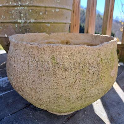 Collection of Concrete Planters & Hens + Chicks! (FD-SD)