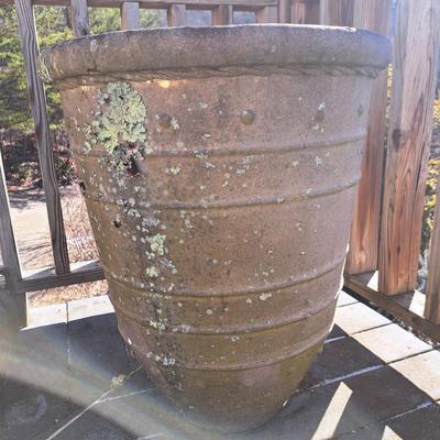 Collection of Concrete Planters & Hens + Chicks! (FD-SD)
