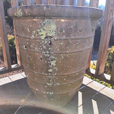 Collection of Concrete Planters & Hens + Chicks! (FD-SD)
