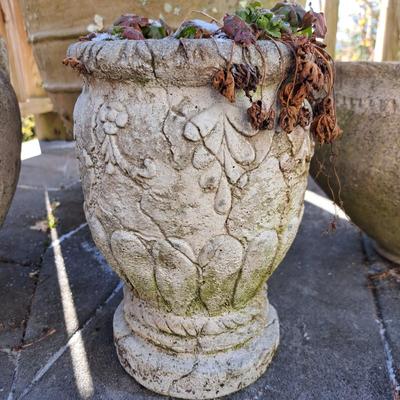Collection of Concrete Planters & Hens + Chicks! (FD-SD)