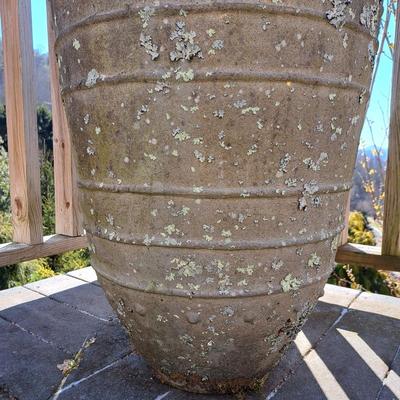 Collection of Concrete Planters & Hens + Chicks! (FD-SD)