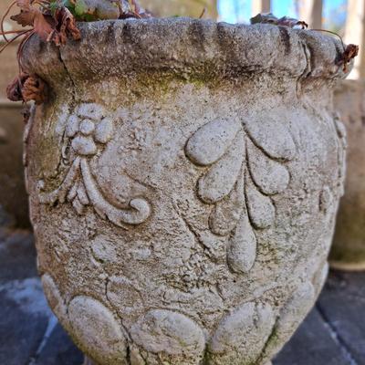 Collection of Concrete Planters & Hens + Chicks! (FD-SD)