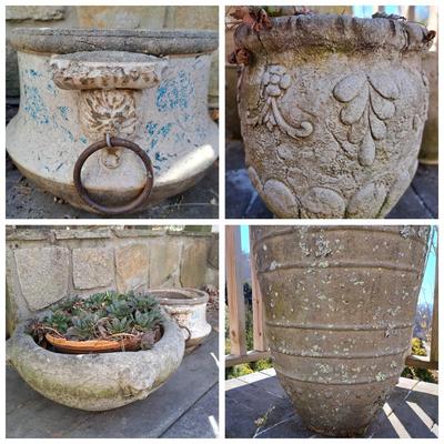 Collection of Concrete Planters & Hens + Chicks! (FD-SD)