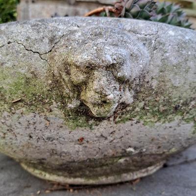 Collection of Concrete Planters & Hens + Chicks! (FD-SD)