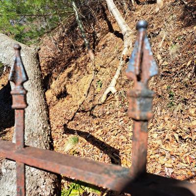Cast Iron Garden Fence (FD-SD)