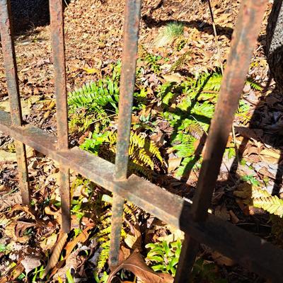 Cast Iron Garden Fence (FD-SD)