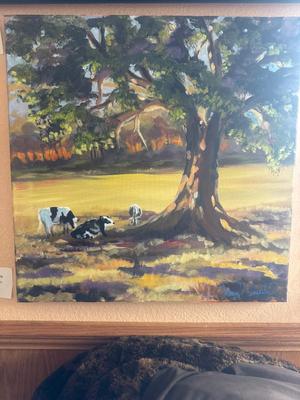 Contented cow