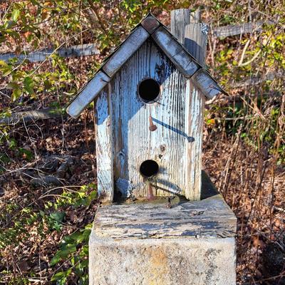 Two Rustic Folksy Wooden Birdhouses on Stands (BD-SD)