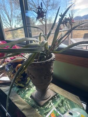 2 vases