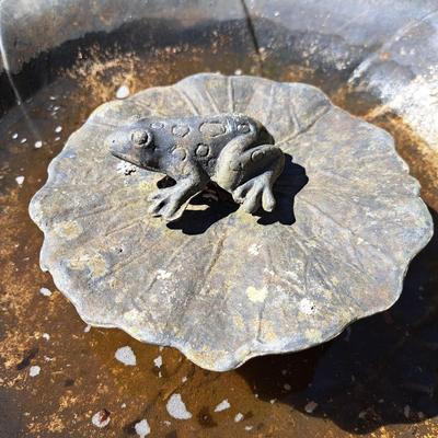 Light-Weight Metal Frog Birdbath (BD-SD)