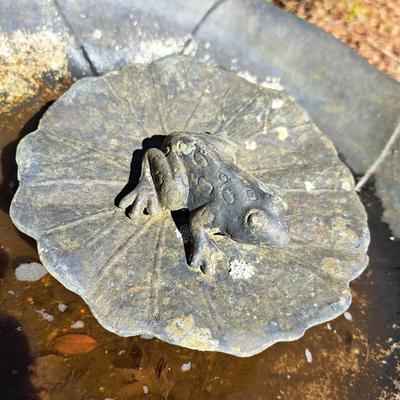 Light-Weight Metal Frog Birdbath (BD-SD)