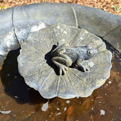 Light-Weight Metal Frog Birdbath (BD-SD)