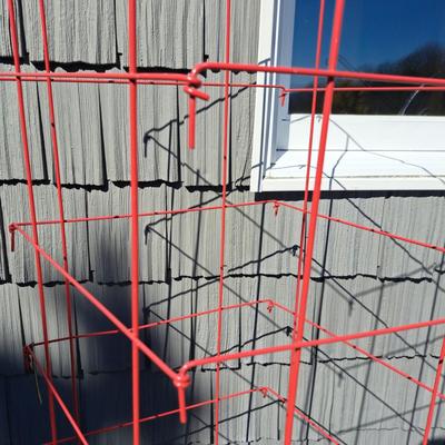 Red Hot Tomato Plant Cages - and More! (FD-SD)