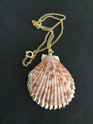 Gold Gild Shell Necklace