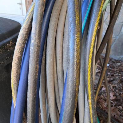 Lots of Garden Hoses! (LD-SD)