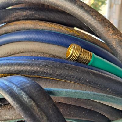 Lots of Garden Hoses! (LD-SD)