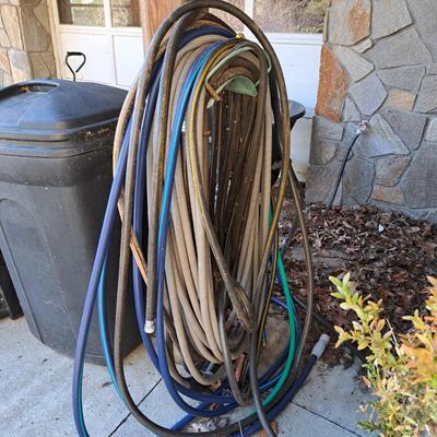 Lots of Garden Hoses! (LD-SD)