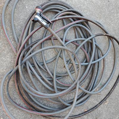Lots of Garden Hoses! (LD-SD)