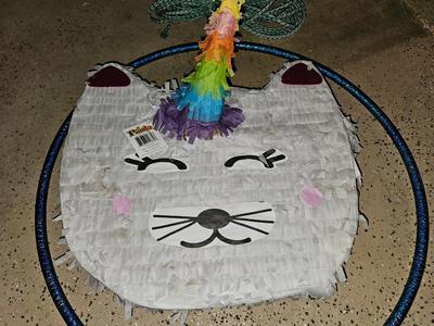 Unicorn Cat pinata and a rope with a new hula-hoop