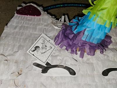 Unicorn Cat pinata and a rope with a new hula-hoop