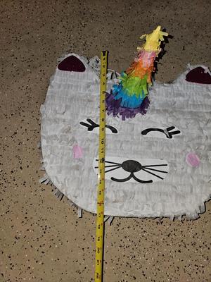 Unicorn Cat pinata and a rope with a new hula-hoop