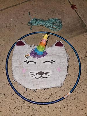 Unicorn Cat pinata and a rope with a new hula-hoop