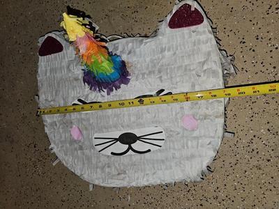 Unicorn Cat pinata and a rope with a new hula-hoop
