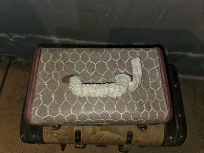 Two neat small trunks / Suitcases