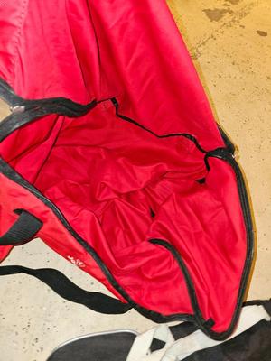 Sports bag with child's size rollerblades - Safety gear - and a few small golf clubs